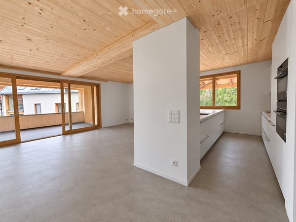 NEUBAU - 4.5-Zimmer-Wohnung in fantastischem Holzbau
