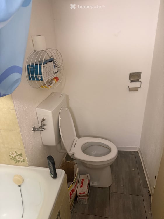 Cozy Studio Apartment for Rent in Zurich-Seebach 4