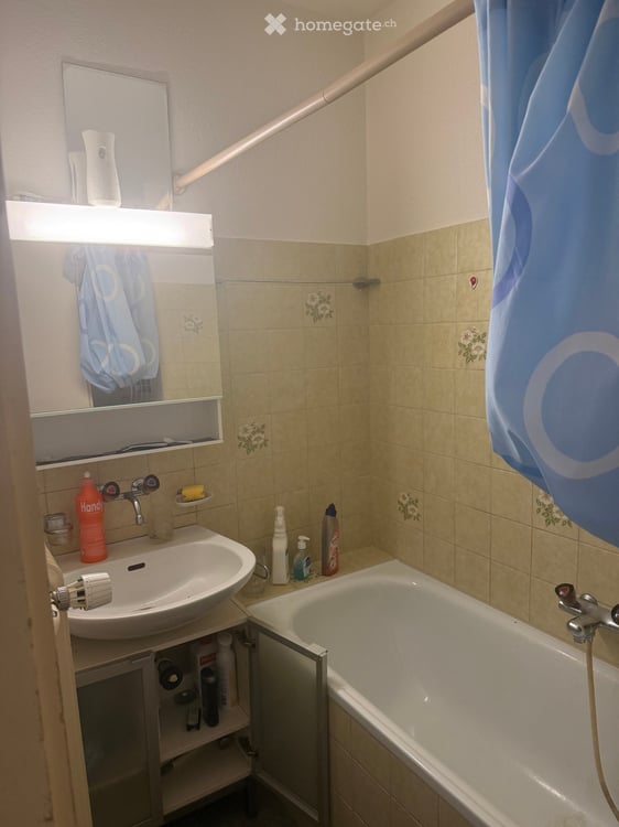 Cozy Studio Apartment for Rent in Zurich-Seebach 3