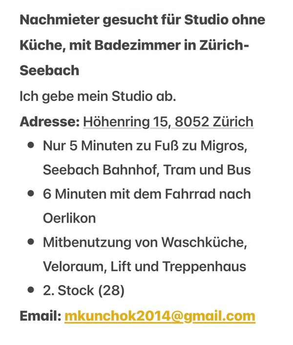 Cozy Studio Apartment for Rent in Zurich-Seebach 5