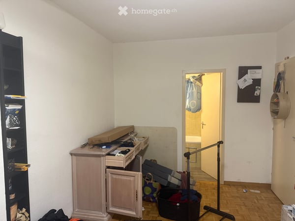 Cozy Studio Apartment for Rent in Zurich-Seebach 1