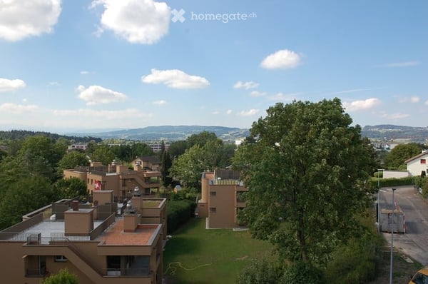 Helle 1.5-Zimmer-Wohnung mit Balkon und Panoramablick in Volketswil 7