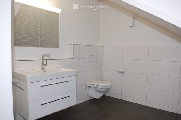 Helle 1.5-Zimmer-Wohnung mit Balkon und Panoramablick in Volketswil 5
