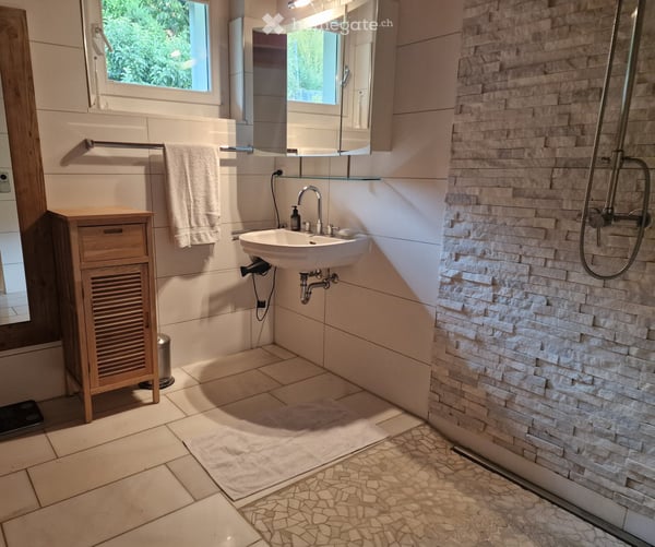 Spacious 9-Room Family Home in Oberlunkhofen 15