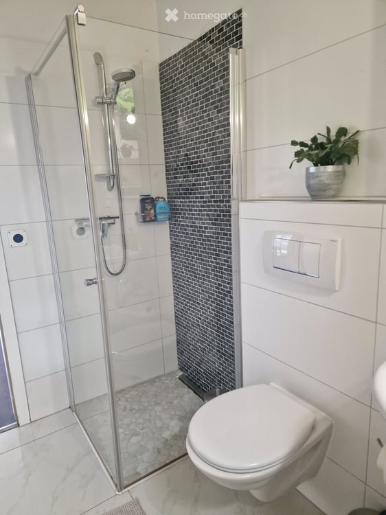 Spacious 9-Room Family Home in Oberlunkhofen 13