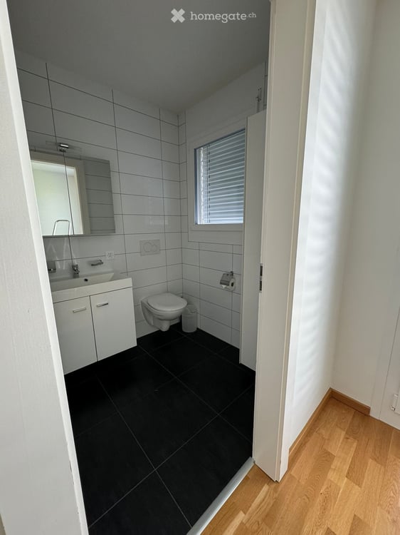 Appartement de 5 pièces à Thônex 14