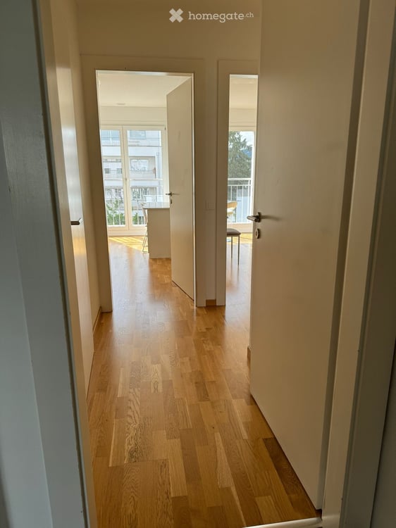 Appartement de 5 pièces à Thônex 13