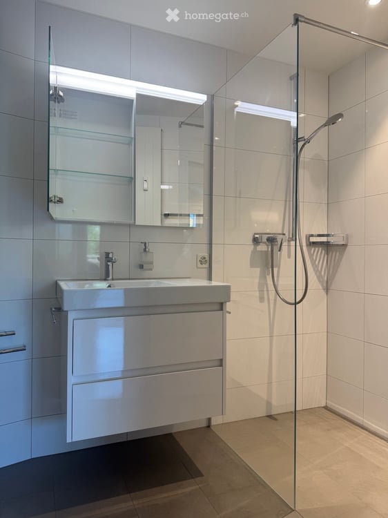 Charmante 2.5-Zimmer-Dachwohnung mit Balkon in Binningen 6