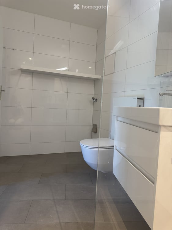 Charmante 2.5-Zimmer-Dachwohnung mit Balkon in Binningen 7