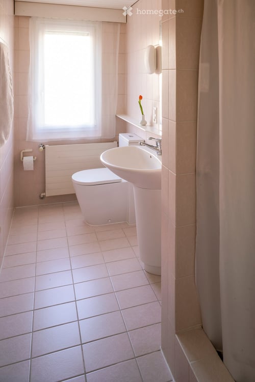6,5-Zimmer-Attika über der Stadt mit phänomenaler See- und Alpensicht! 9