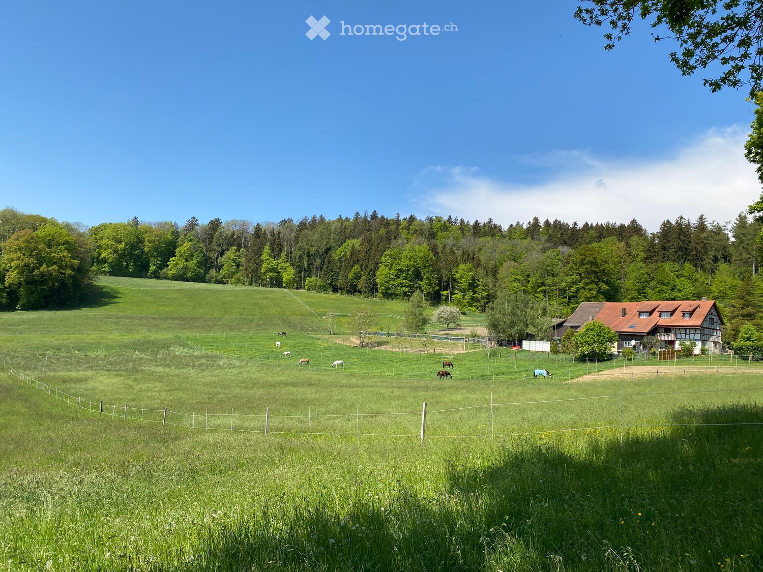 A peaceful countryside scene with a traditional half-timbered house, fenced pasture, grazing horses, and lush green fields under a clear blue sky.