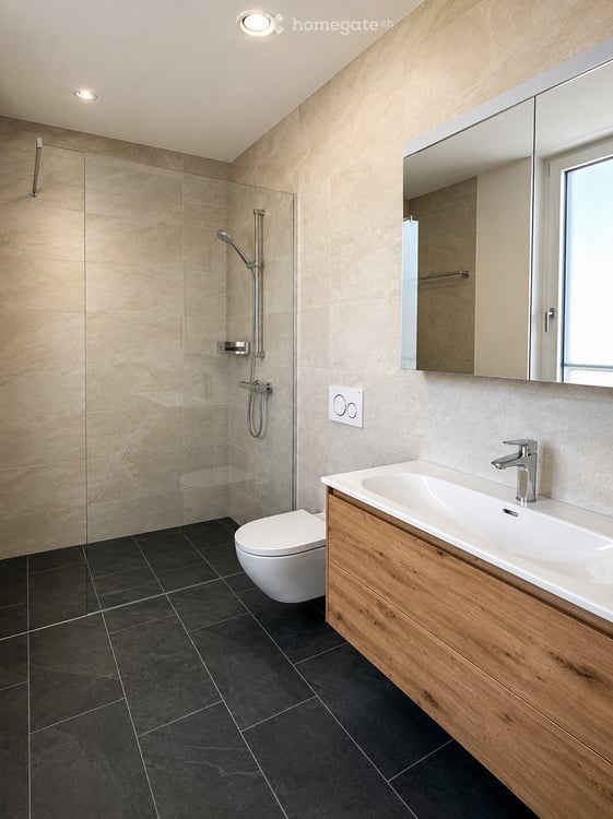 Neubau 4.5 Zimmerwohnung in Würenlos 3