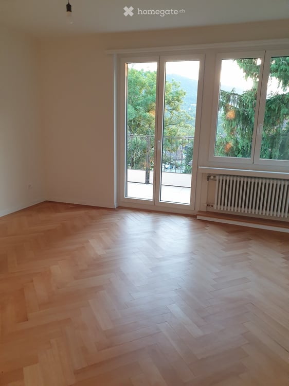 Schöne Wohnung an erhöhter, ruhiger Lage im Kreis 2Wohnung in Zürich 6