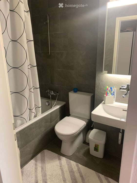Schöne, helle 4.5 Zimmer in Hadlikon-Hinwil 2