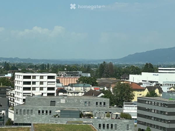 Moderne 2.5-Zimmer-Neubauwohnung in St. Margrethen SG – Erstbezug ab sofort! 5
