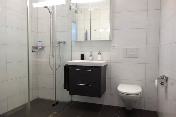 2.5-Zimmer-Wohnung in Zug, möbliert/2.5-Room Apartment in the City of Zug, fully furnished 5