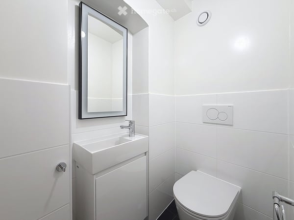 Appartement de 5,5 pièces à la Vieille-Ville 12
