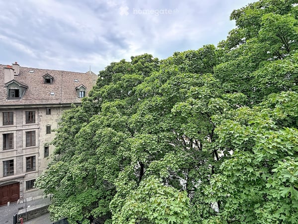 Appartement de 5,5 pièces à la Vieille-Ville 2