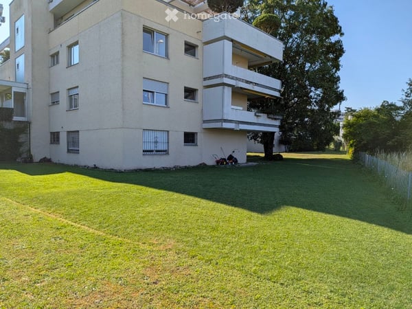 Frisch renovierte 4.5-Zimmer-Gartenwohnung in Zollikon – sofort verfügbar 5