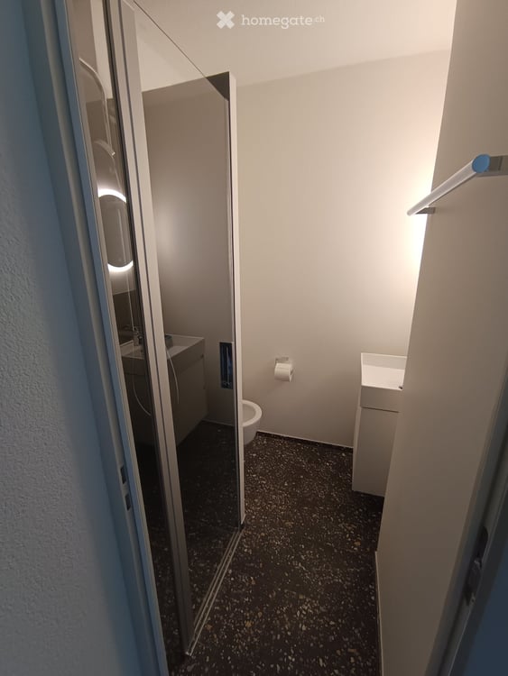 Frisch renovierte 4.5-Zimmer-Gartenwohnung in Zollikon – sofort verfügbar 15