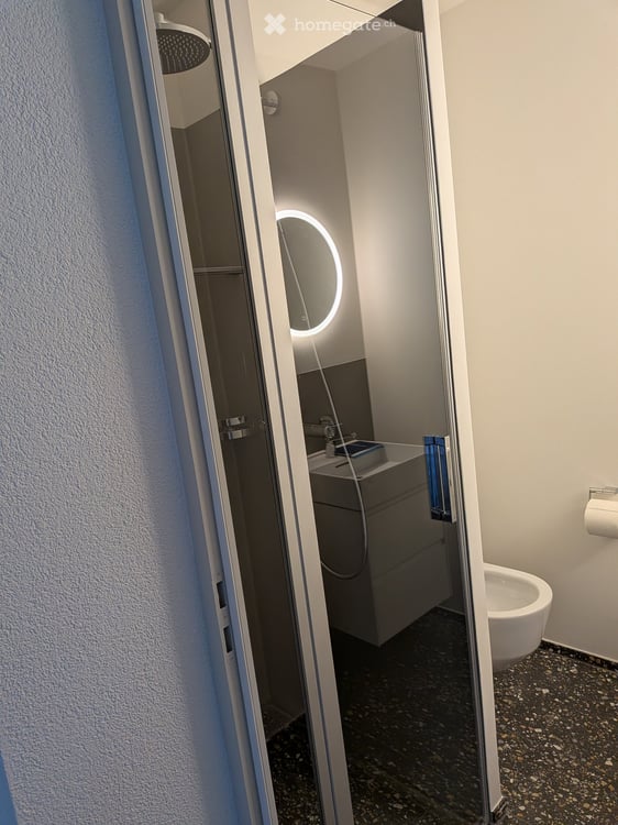 Frisch renovierte 4.5-Zimmer-Gartenwohnung in Zollikon – sofort verfügbar 14