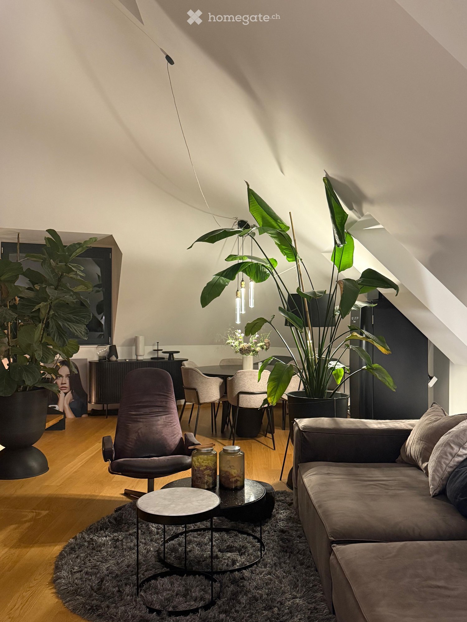 Modern living and dining area with wooden flooring, large potted plants, a grey sofa, a round coffee table, a dining table with chairs, and a sleek cabinet.