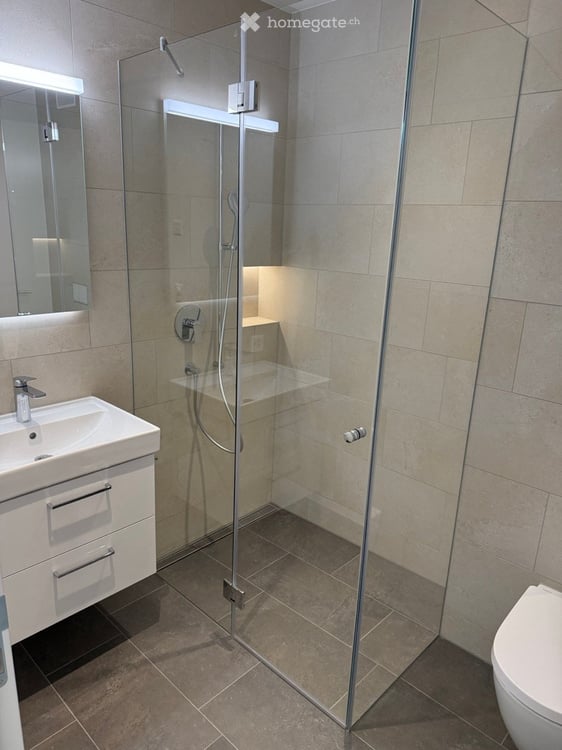 Exklusive 4.5 Zimmer Neubau-Erstwohnung 128m2 im Erdgeschoss, Erstbezug 8