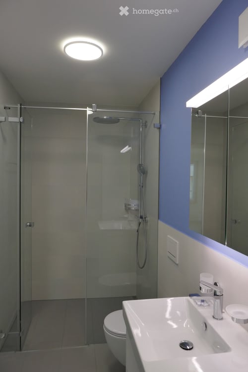 Charmante 2.5-Zimmer-Wohnung an der Schifflände in Erlenbach ZH 4