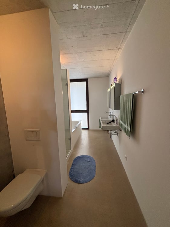 Architektur trifft Garten – einzigartige Loftwohnung mit 240 m² Privatgarten & 3½-Zimmer-Option 8