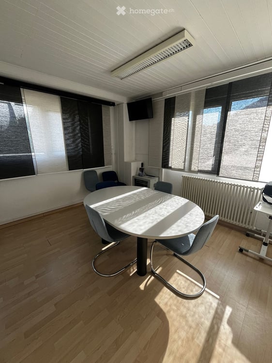 Spazio commerciale a Bellinzona - Carasso 8
