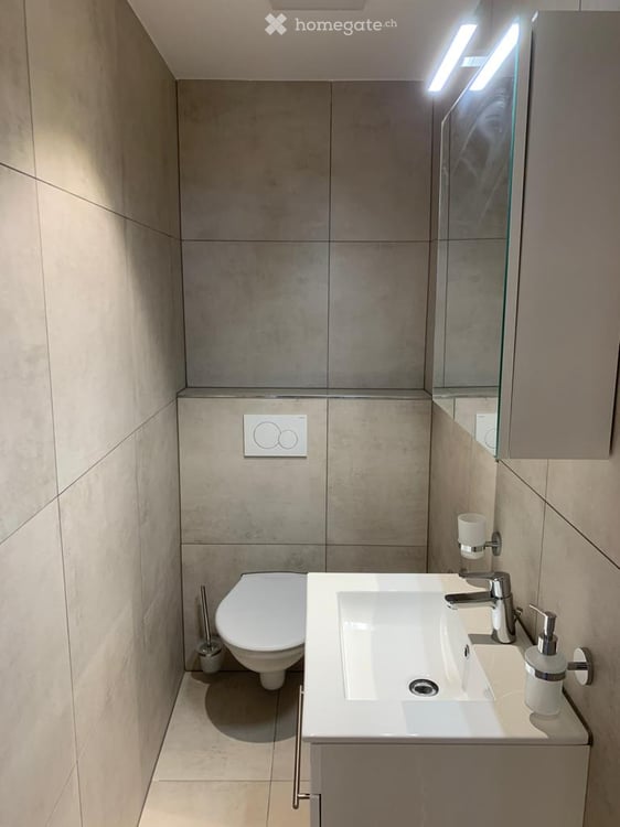 2 Zimmer Wohung/Studio mit Küche und Bad - Seeterrasse direkt am See gelegen 3