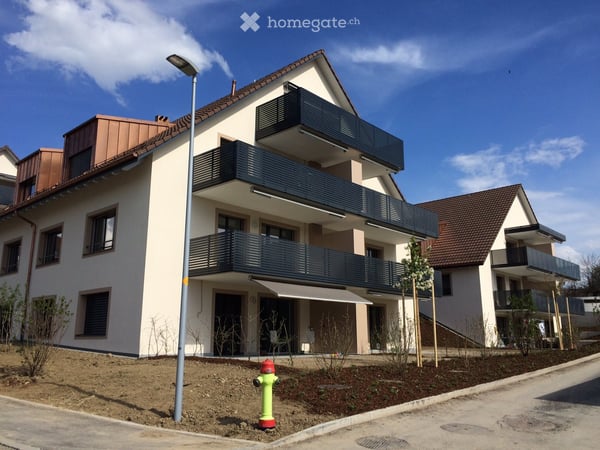 Helle 3.5-Zimmer-Wohnung mit Balkon in Obfelden 1