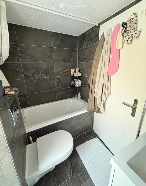 Charming 2-Room Apartment for Rent in Sion – Available Immediately 4