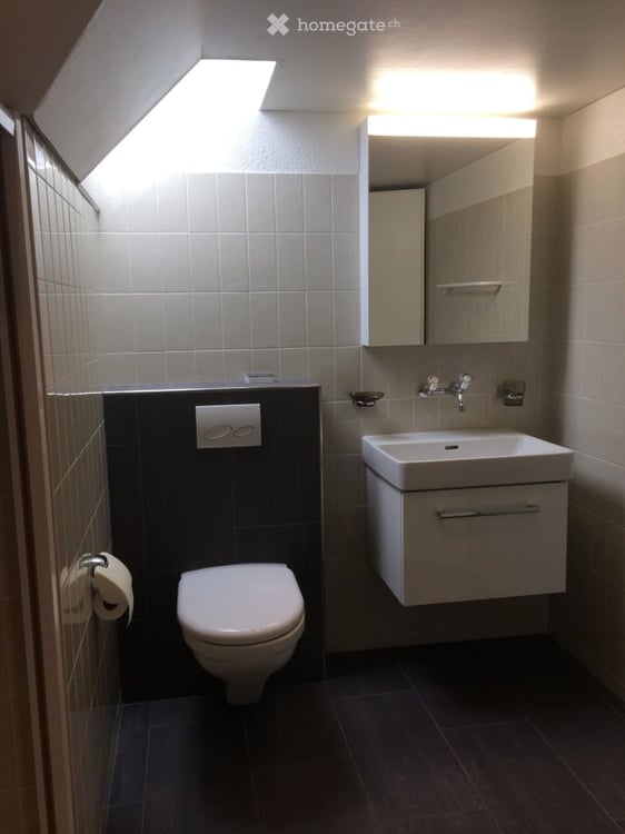 Schöne 2 1/2 Zimmer Dachwohnung mit wun…