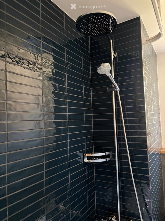 3-Zimmerwohnung mit viel Charme 13