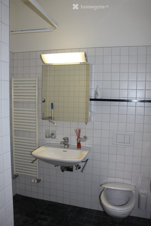 Grosszügige Stadtwohnung im Grünen 9