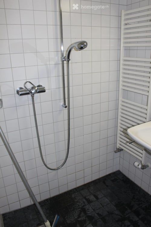 Grosszügige Stadtwohnung im Grünen 10
