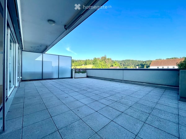 5.5-Zimmer-Maisonette-Attikawohnung im steuergünstigen Baar 5
