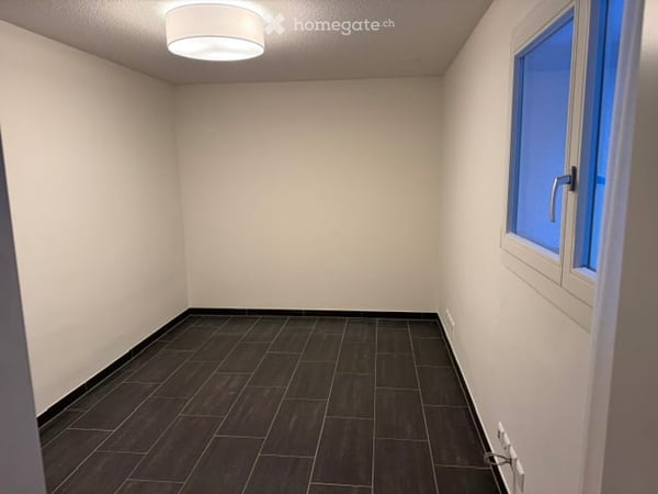 4.5-Room Apartment (+ 2 Rooms Downstairs) with big Garden in Zumikon – Available August 2026 9
