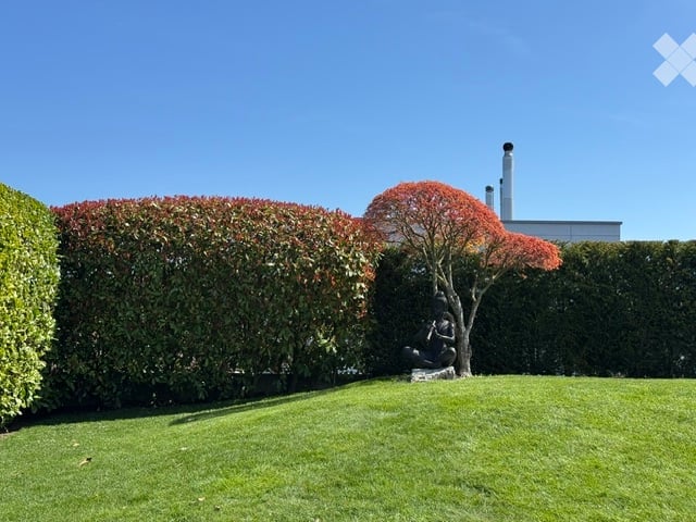 Well-maintained garden with neatly trimmed hedges, a small tree with red leaves, a stone bench, and a sculpture. The lawn is lush and green, and the background shows part of a house with a chimney.