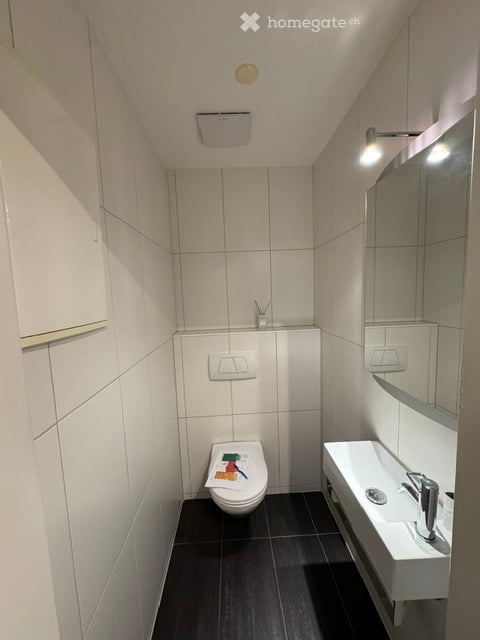 4.5-Room Apartment (+ 2 Rooms Downstairs) with big Garden in Zumikon – Available August 2026 3