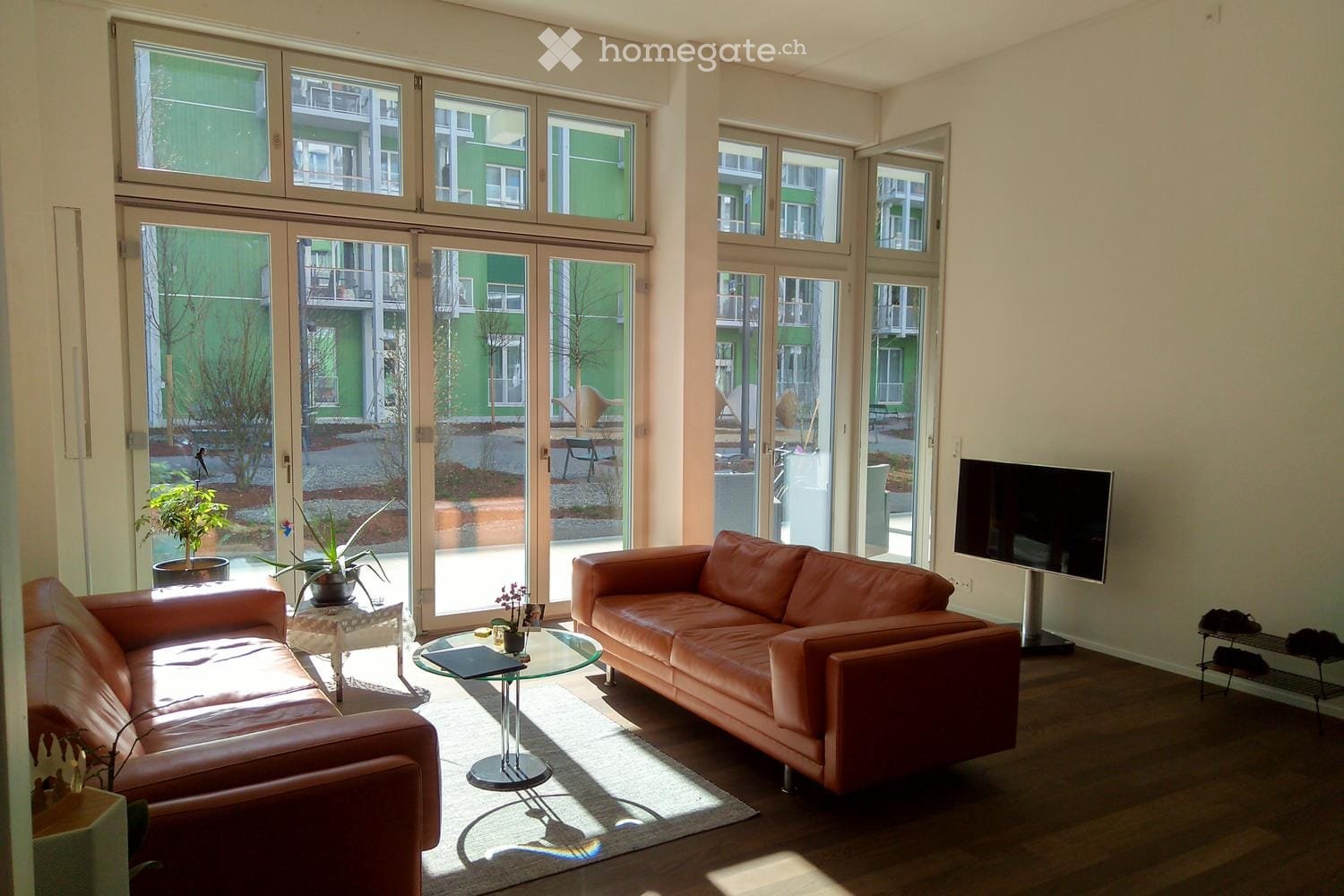 Bright living room with large windows and sliding glass doors leading to a balcony. Features a brown leather sofa, a glass coffee table, a small side table with a plant, and a television mounted on the wall.