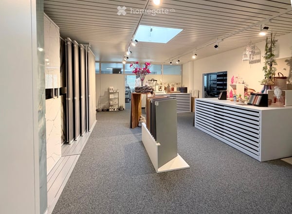 Büro- und Gewerbefläche an zentraler Lage in Risch-Rotkreuz 13