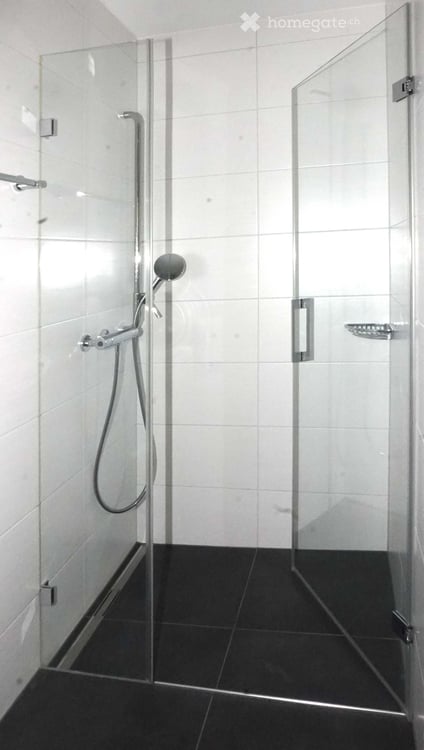Moderne 4.5-Zimmer-Dachwohnung in ruhiger Lage von Arlesheim 8