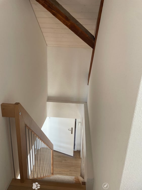 Charmante 4.5-Zimmer-Maisonette-Wohnung in historischem Gebäude 3