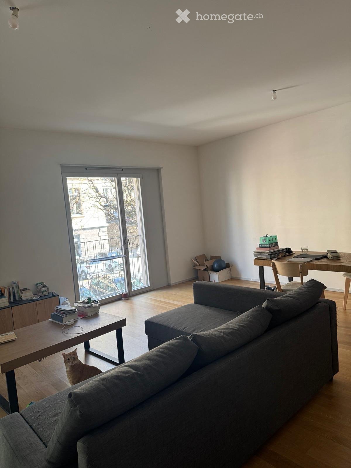 A modern living room with a grey sofa, wooden coffee table, and a cat sitting on the floor. There is a sliding glass door leading to a balcony, and a desk with books and a laptop in the corner.