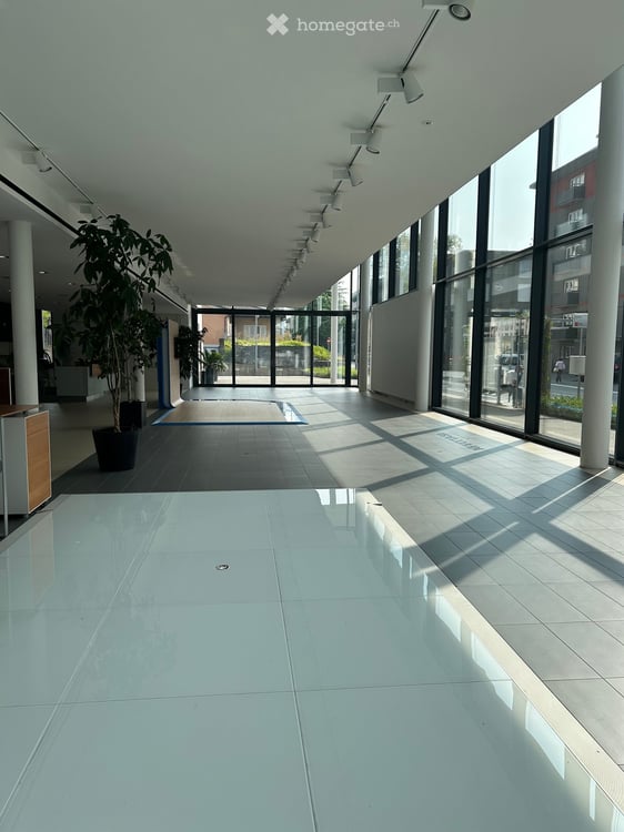 Locale Commerciale Moderno in Affitto a Minusio – Via San Gottardo 139 3