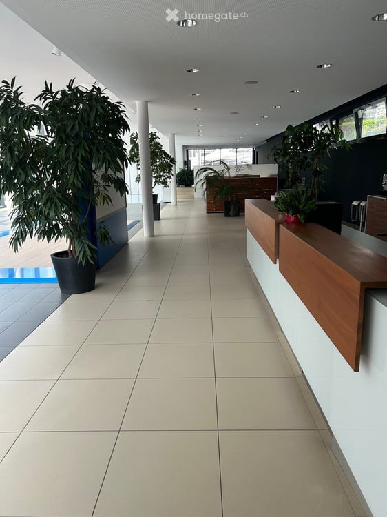 Locale Commerciale Moderno in Affitto a Minusio – Via San Gottardo 139 4