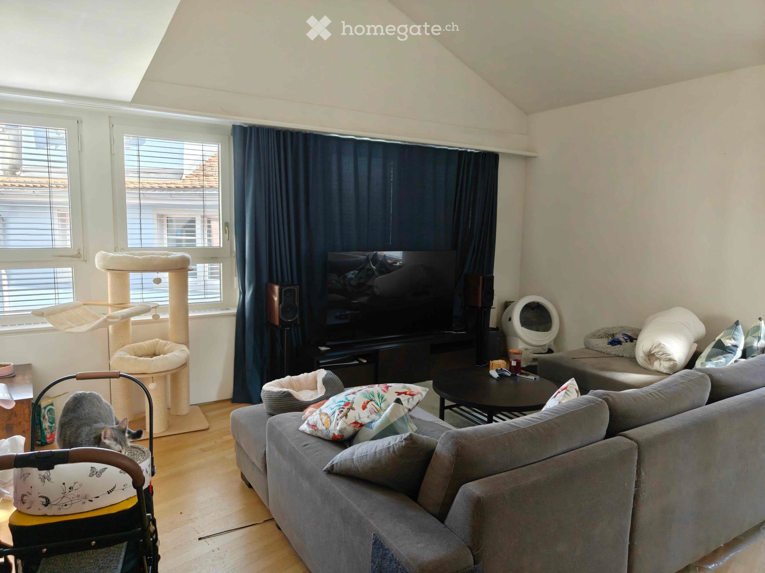 A cozy living room with a grey sofa, coffee table, cat tree, and cat bed. The room features large windows with dark curtains and a television mounted on the wall. A grey cat is visible near the cat tree.