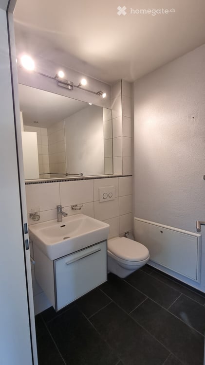 Wohnung mit Hobbyraum und grossem Garten in Schönenbuch 13